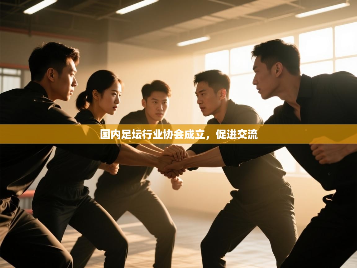 国内足坛行业协会成立，促进交流