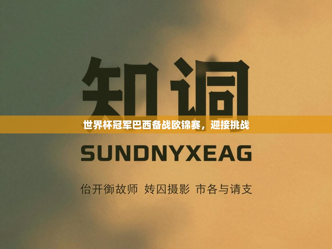 世界杯冠军巴西备战欧锦赛,迎接挑战 第1张