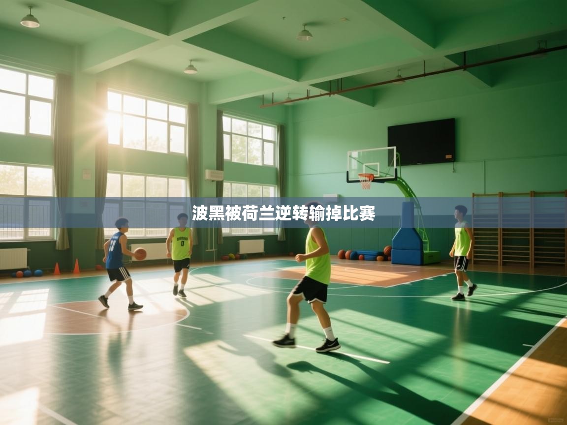 波黑被荷兰逆转输掉比赛  第1张