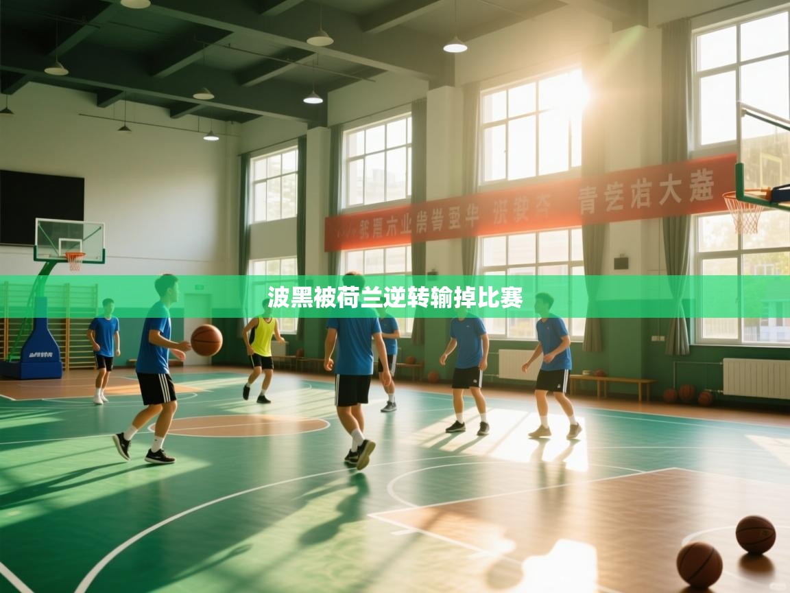 波黑被荷兰逆转输掉比赛  第2张