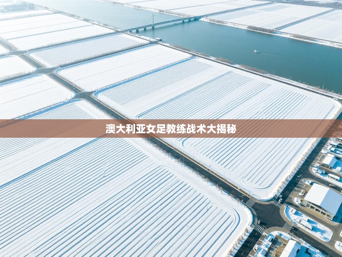 澳大利亚女足教练战术大揭秘 第1张