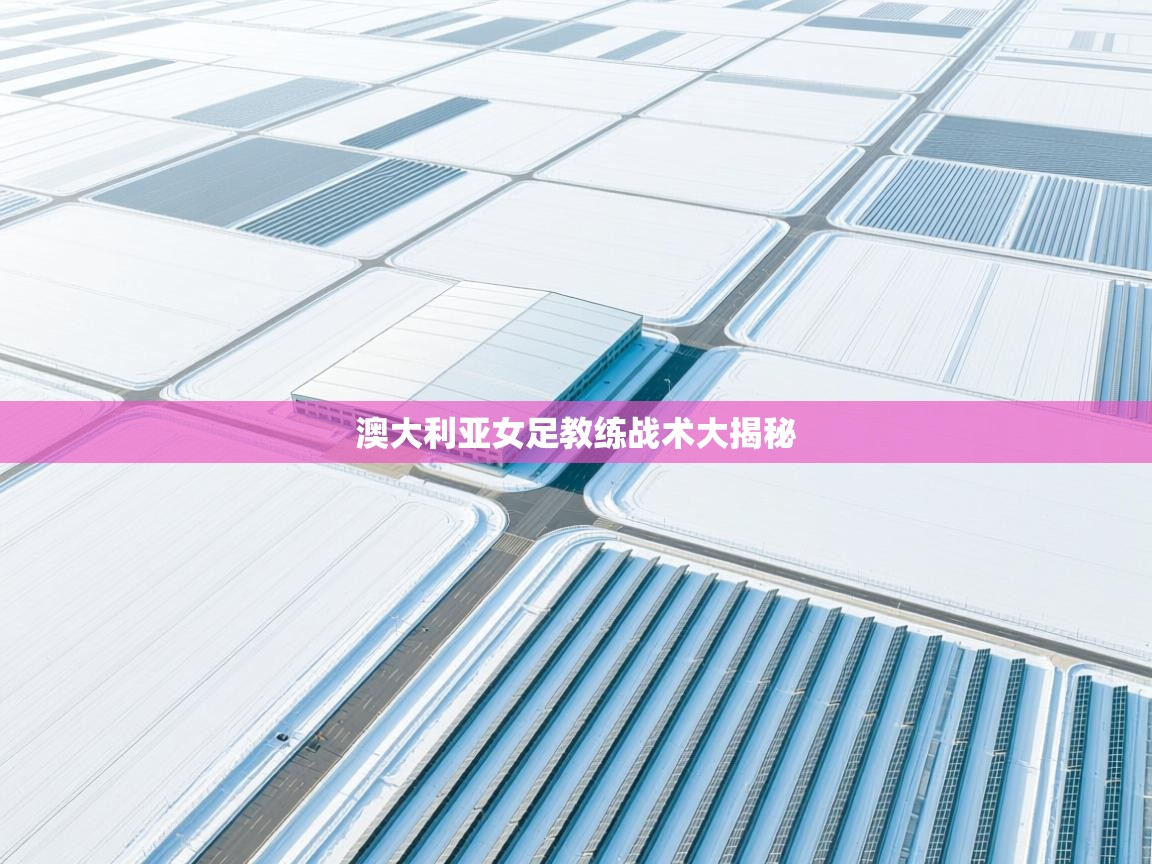 澳大利亚女足教练战术大揭秘 第2张