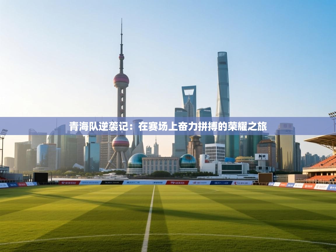 青海队逆袭记：在赛场上奋力拼搏的荣耀之旅  第2张